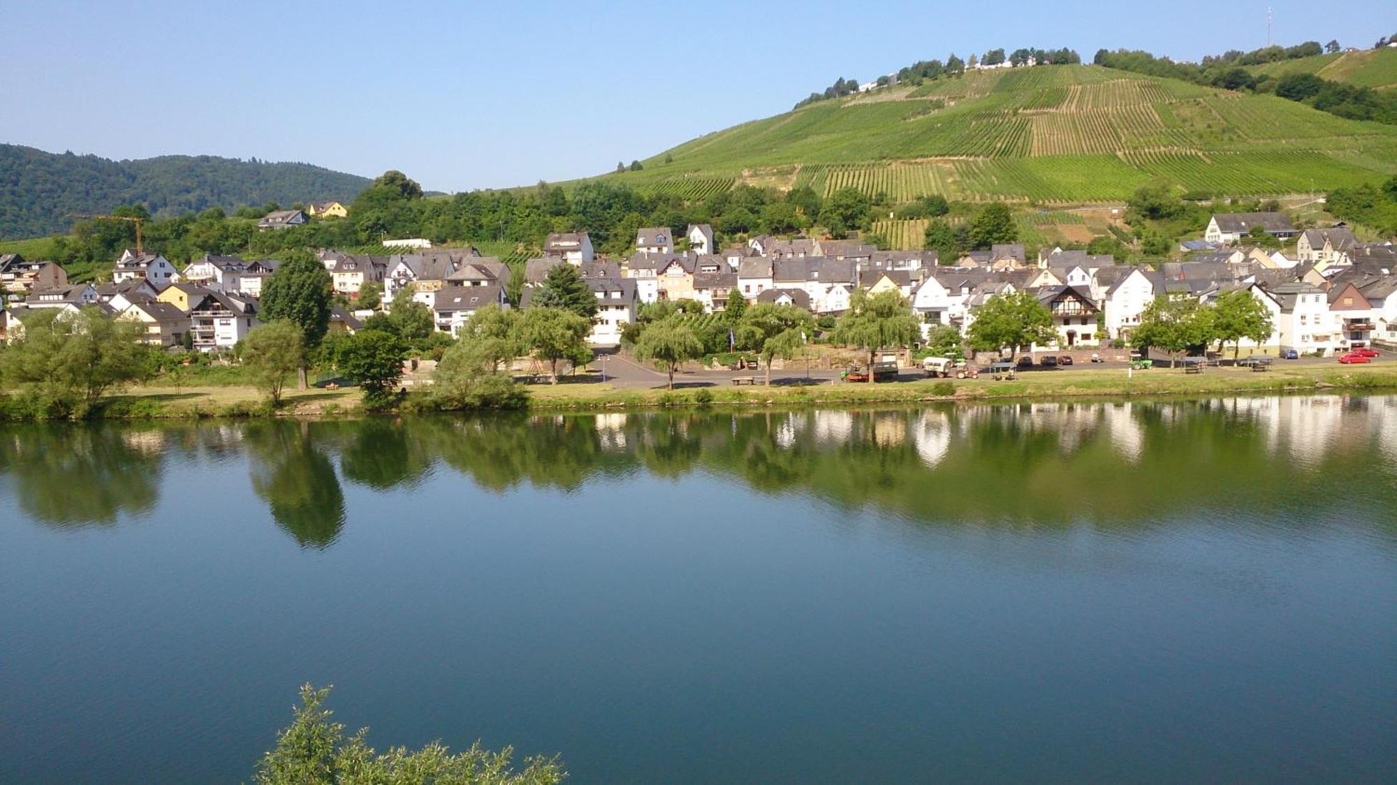 Appartement Mosel View à Zell Chambre photo